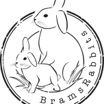 BramsRabbits