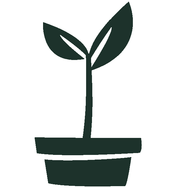 Fleurdirect