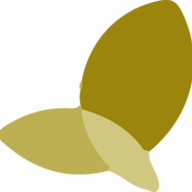 FocusXL