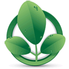 Moringa's Finest