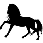 Paardenspullenshop