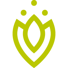 Vitakruid