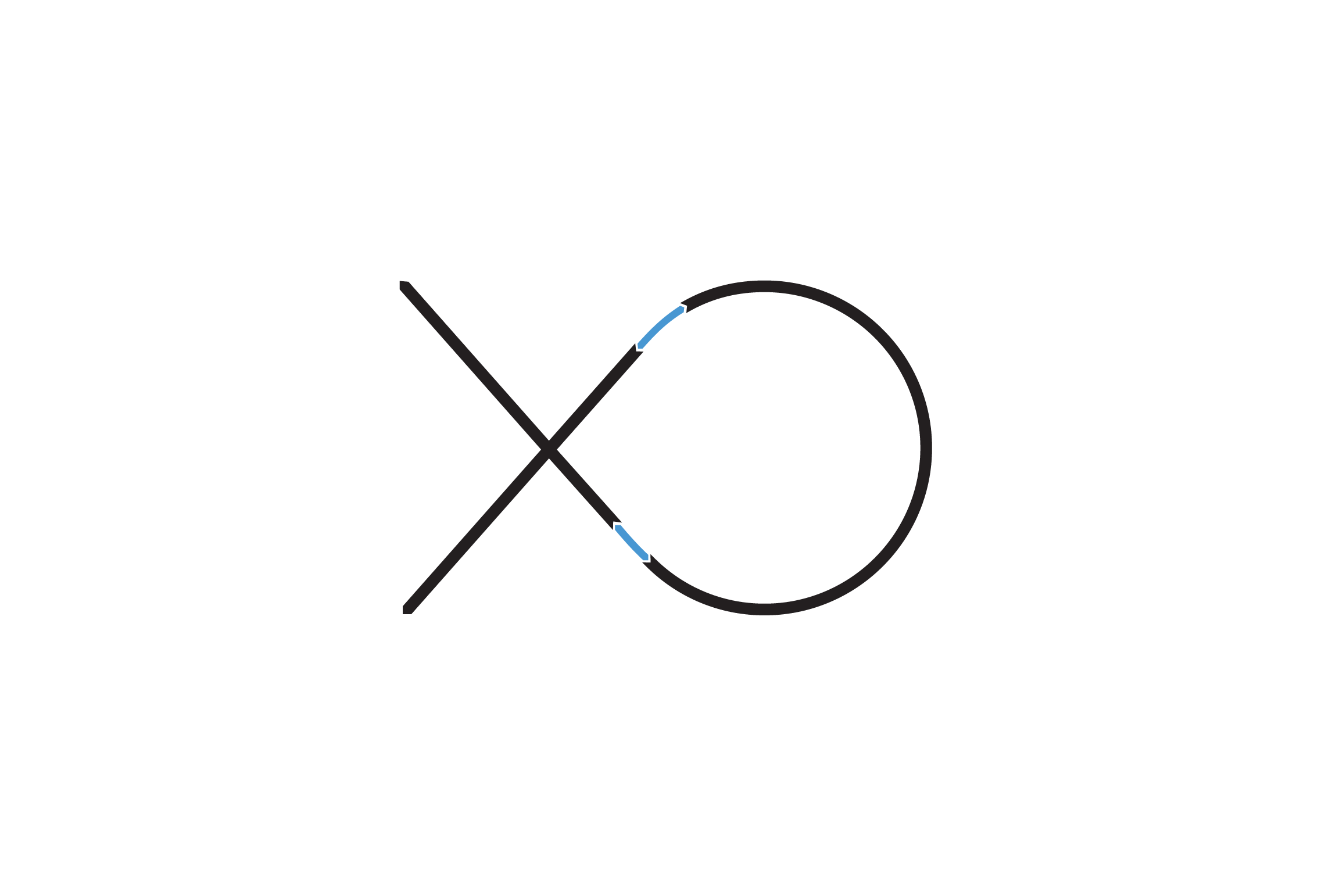 Xenon Odijk